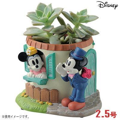 プランター 2.5号 小さい 植木鉢 窓辺 ミニーマウス＆ミッキーマウス