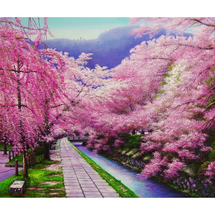 絵画、油絵、桜、桜の絵 、京都 哲学の道、 F20 606x727mm 木村