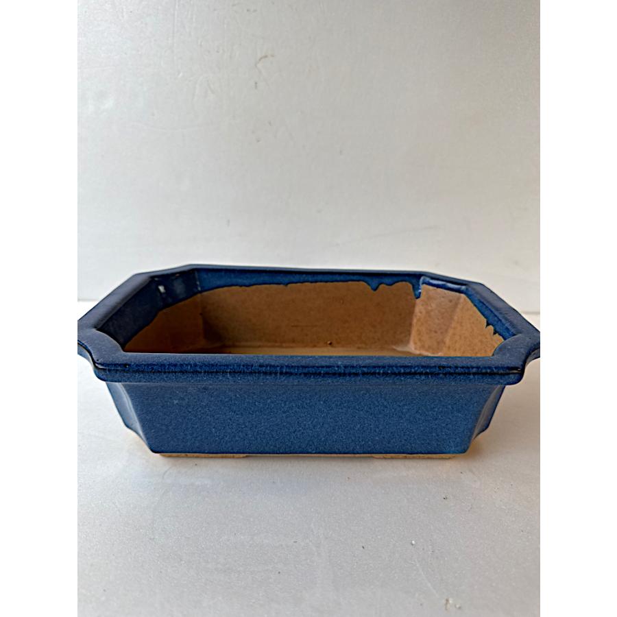 盆栽鉢 : 花郷園 KAGOEN NURSERY - 通販 - Yahoo!ショッピング