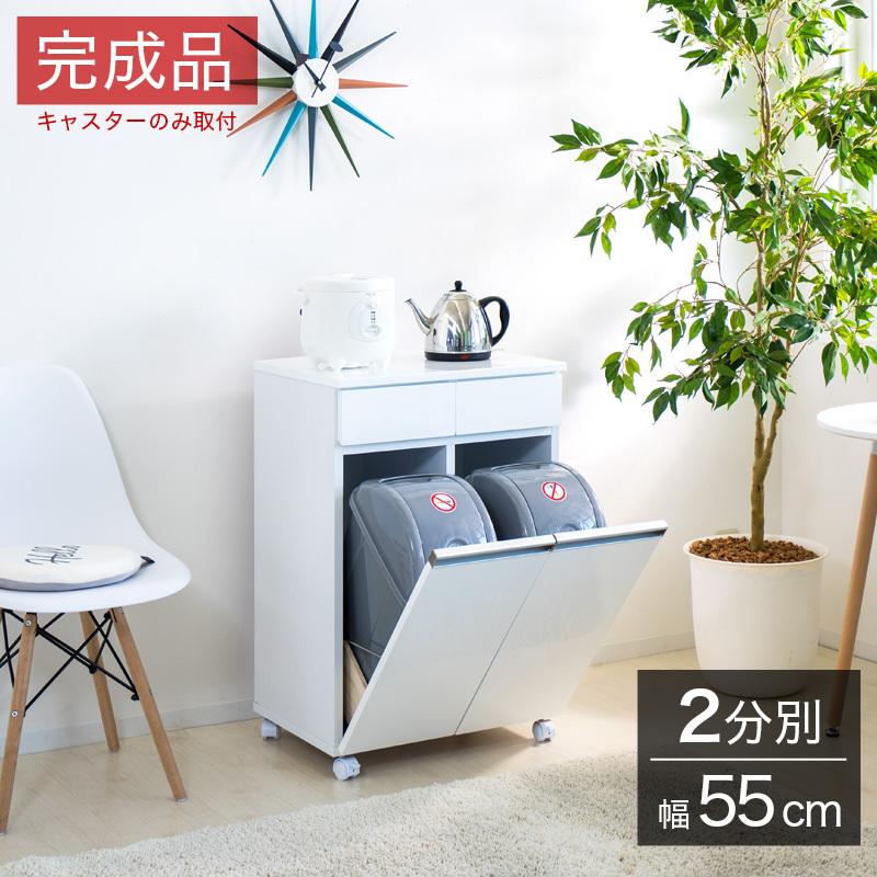 ダイニングダストボックス2D ごみ箱 2分別 台所用 生ごみ 背面美人