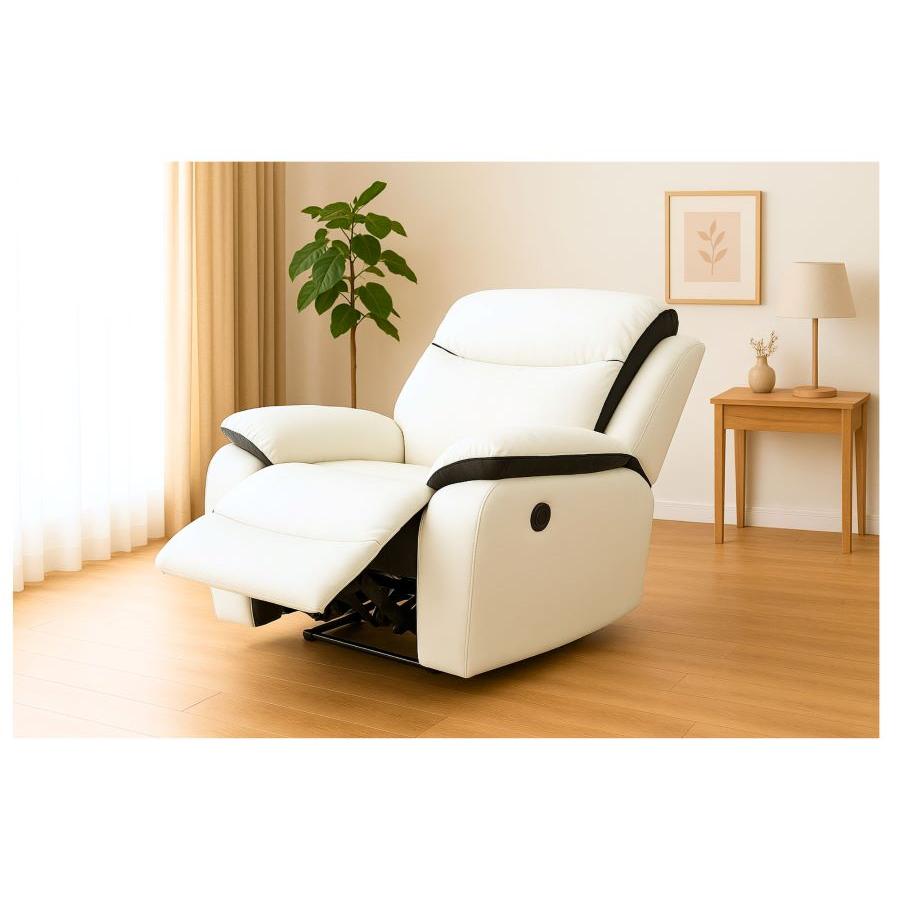 レビュー高評価4.6☆ 爆買 メーカー保証 最短発送 リクライニング