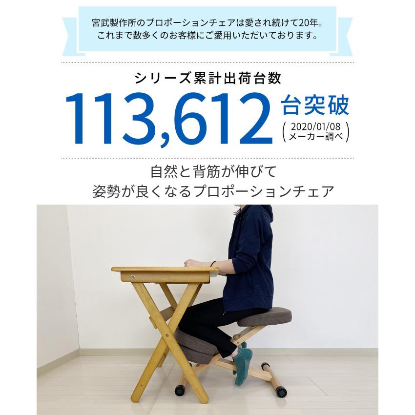 宮武製作所 新色登場全11色 クッション付き 替えカバー付き