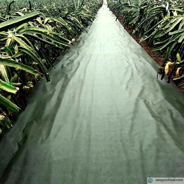 防草シート 不織布 ポリエステルPET 密度150G 1m×50m ダークグリーン