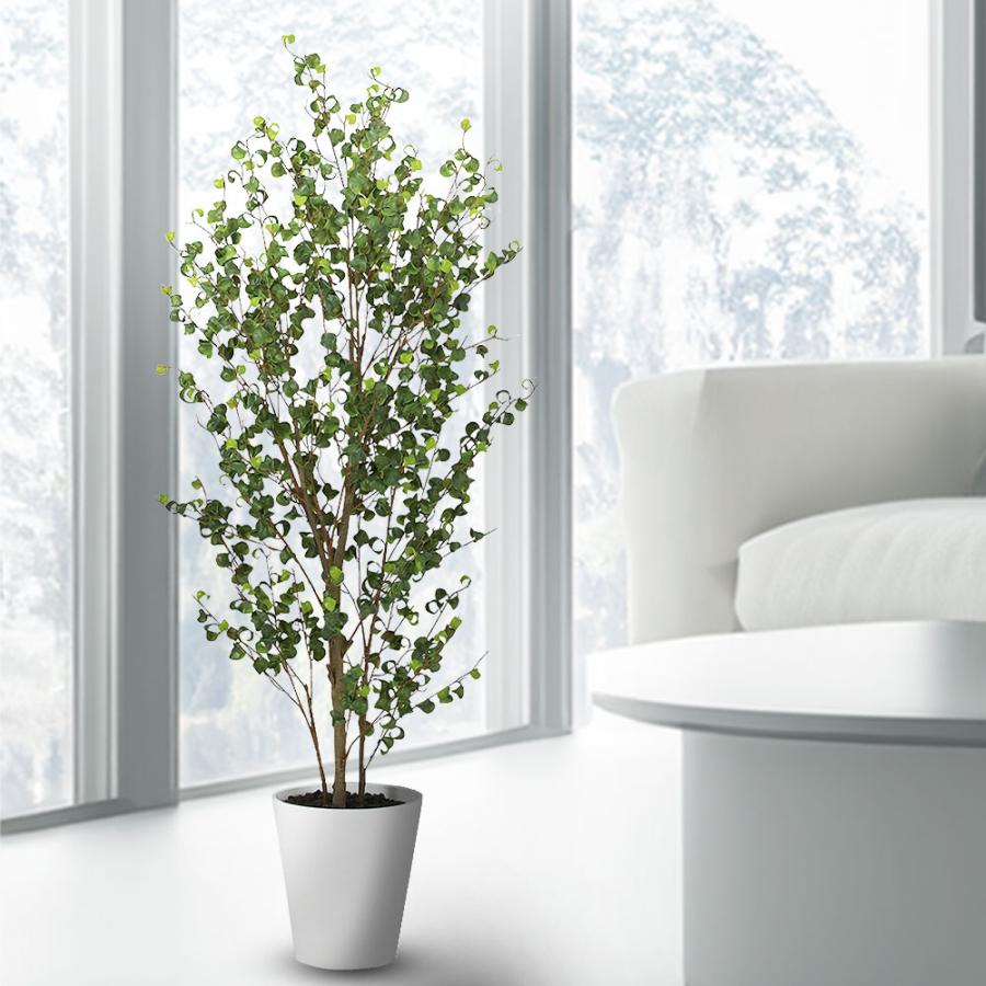 ベンジャミンバロック インテリアグリーン おしゃれ 人気 リアル