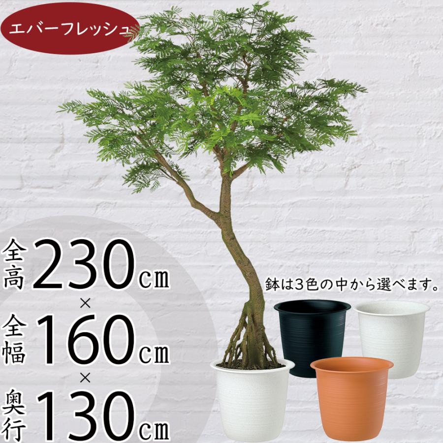 エバーフレッシュ 人工観葉植物 大型 特大 おしゃれ フェイクグリーン