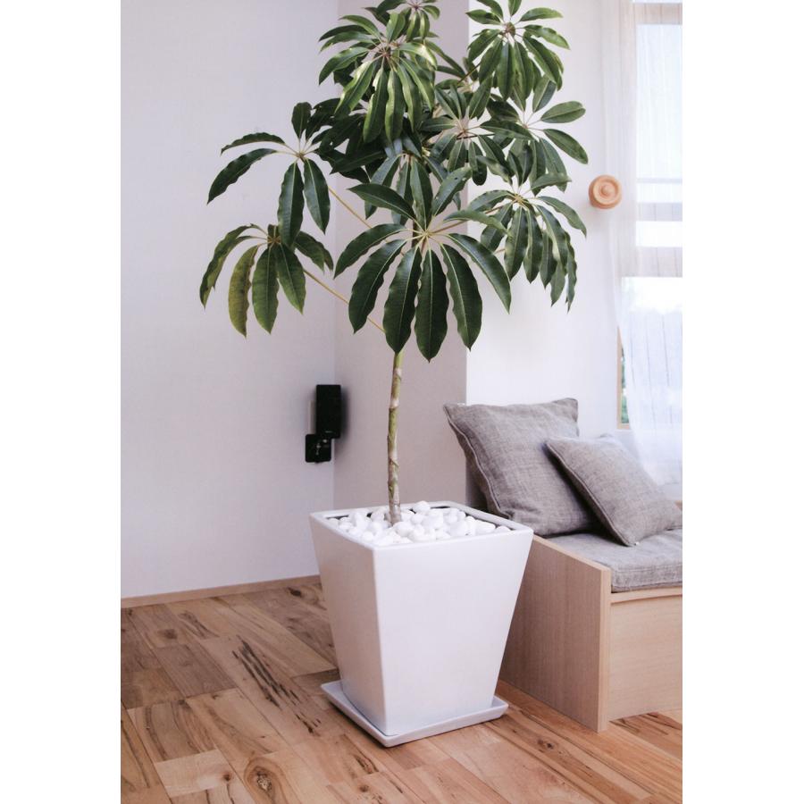 植木鉢 おしゃれ 大型 プランター 観葉植物 白 黒 ホワイト ブラック