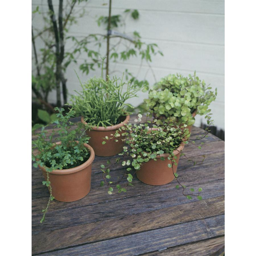 植木鉢 テラコッタ おしゃれ プランター 観葉植物 人気 おすすめ