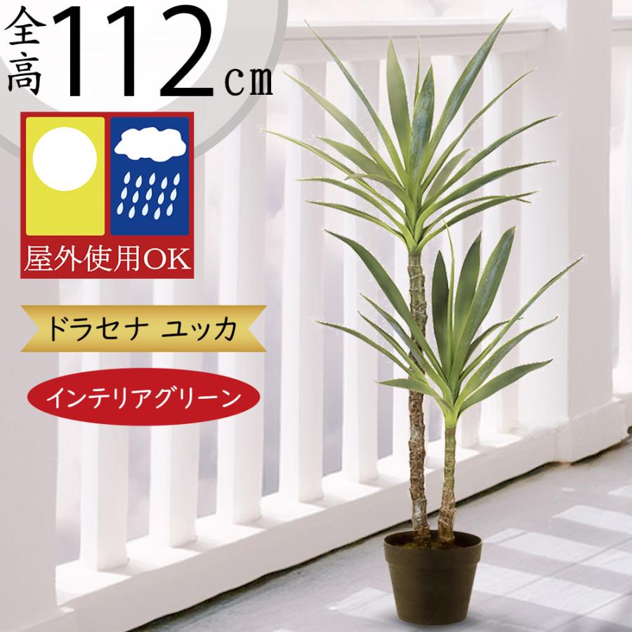 ドラセナ ユッカ 青年の木 屋外用 インテリアグリーン おしゃれ 人気
