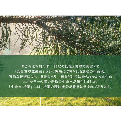 ライフウォーター 松葉 100ml【正規販売代理店】【ヒーリング】 : 健康