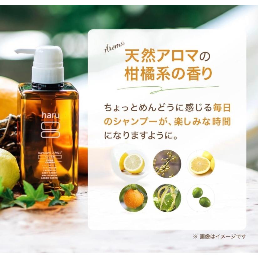 本日限定価格 ハル haru くろかみ kurokami 天然シャンプー : one's