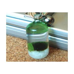 まりもカプセルストラップ ビーズストラップ 北海道 雑貨 お土産 人気