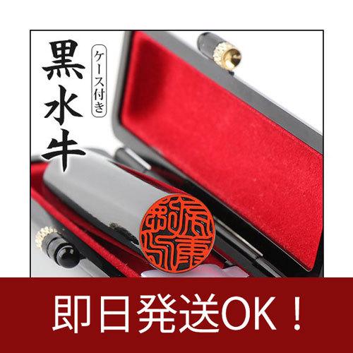 即日出荷 印鑑 作成 黒水牛 印鑑セット 18ミリ はんこ 実印 女性 男性