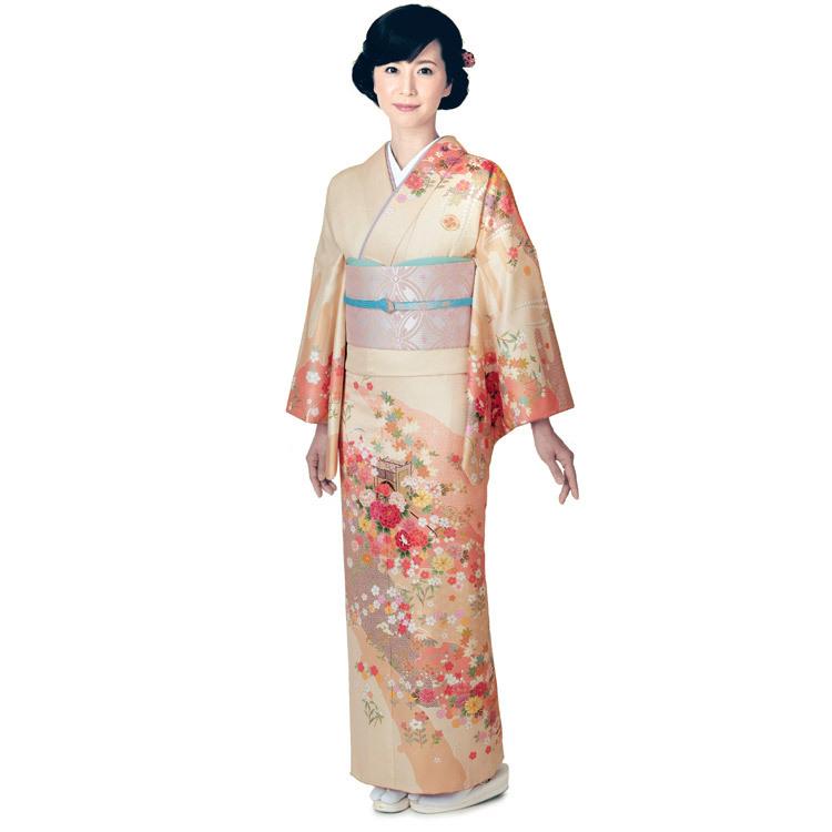 H.L（アッシュ・エル） 訪問着 フルセット 18点 洗える 着物 帯 長襦袢