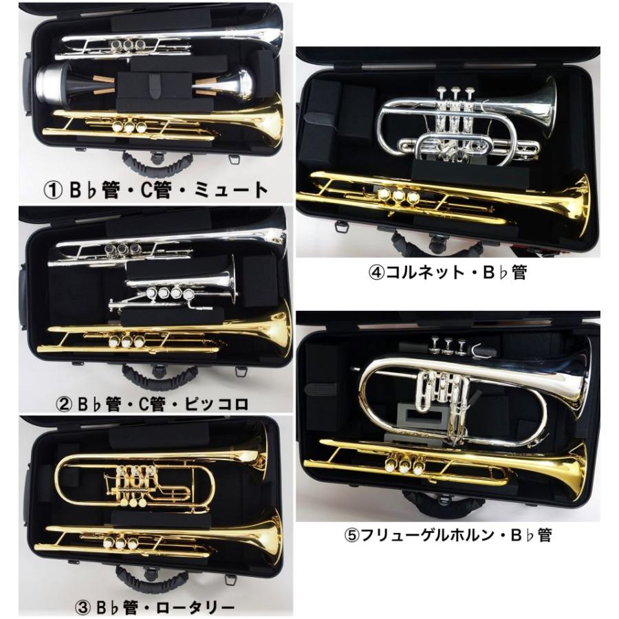 トランペット ケース DACオリジナル 『Sa-si NEXT』TP2+α（プラス