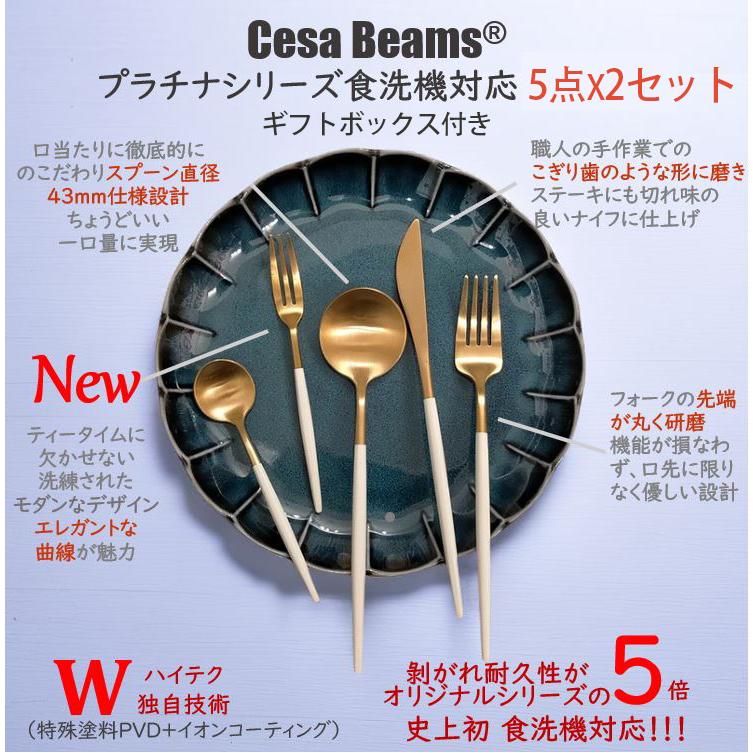 Cesa beams カトラリーセット 5本x2セット ギフトボックス付き 結婚