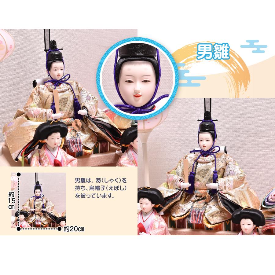 雛人形 ひな人形【選べる2種類】咲良 さくら 間口58cm ケース飾り