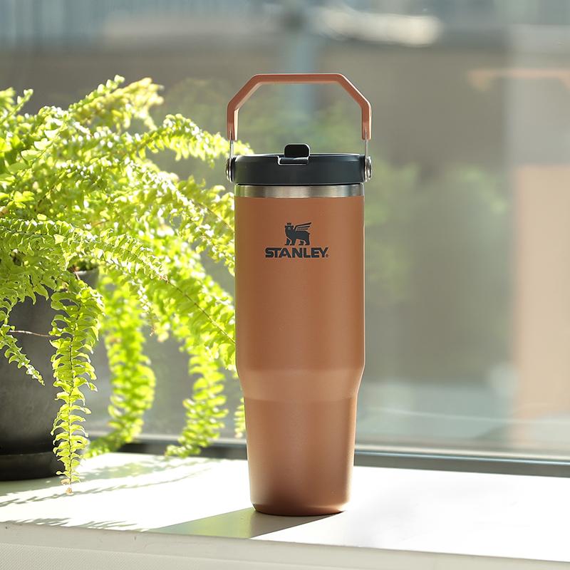 STANLEY（スタンレー） 水筒 アイスフローフリップストロー 真空