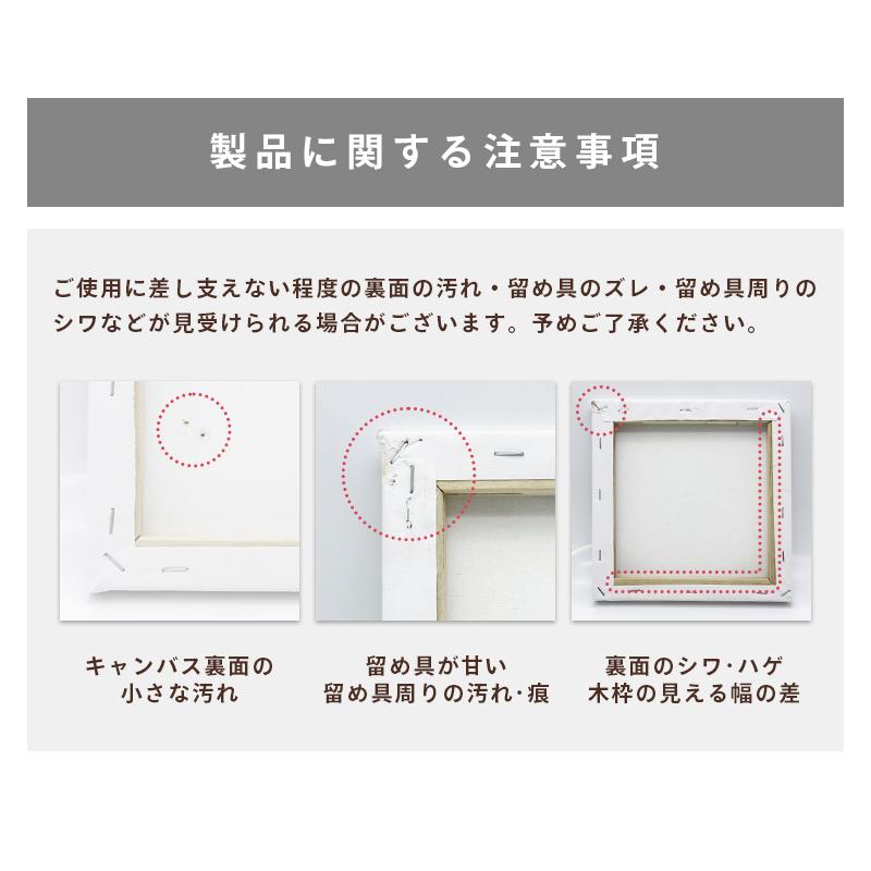 キャンバスボード 10枚セット 20cm×20cm 中目 張りキャンバス Sサイズ