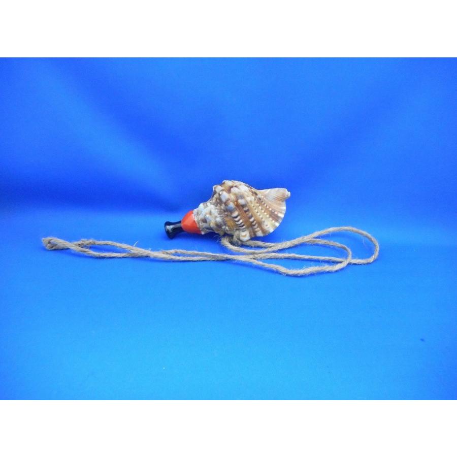 新発売 天狗 超ミニ 法螺貝 ほら貝 ホラ貝 ほらがい ホラガイ シェル