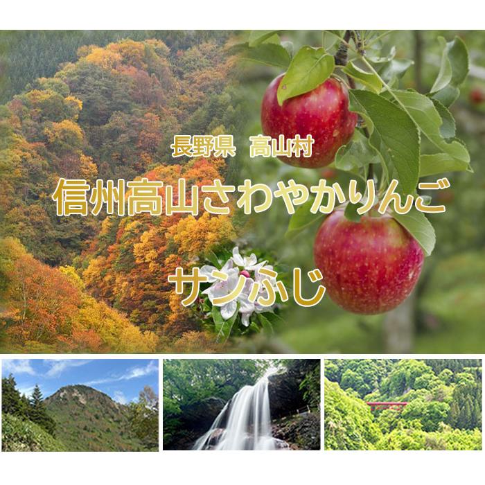 りんご サンふじ 秀品 10〜23玉 5kg 長野県産 信州高山さわやかりんご