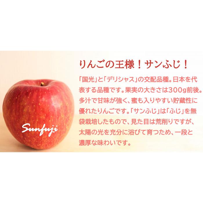 りんご サンふじ 秀品 10〜23玉 5kg 長野県産 信州高山さわやかりんご