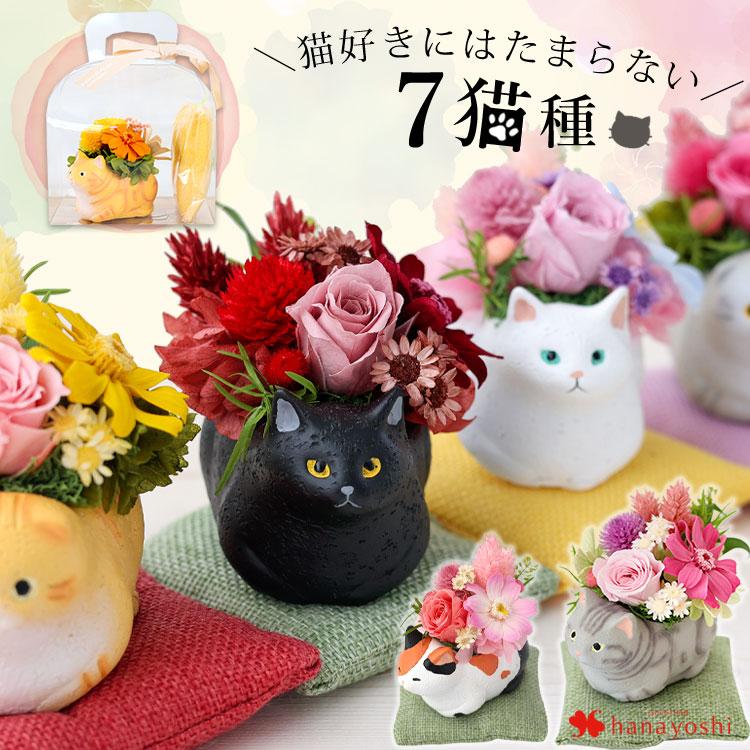 フラワーマーケット花由 プリザーブドフラワー 和風 くつろぎねこ 7