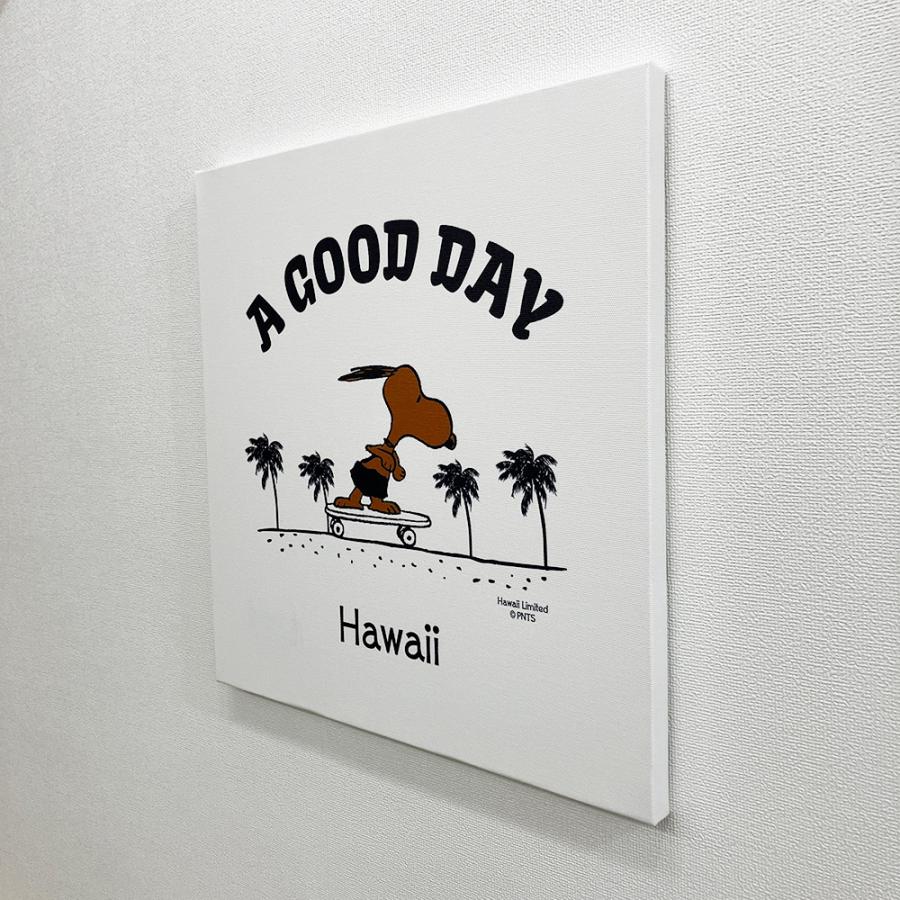 SNOOPY（スヌーピー） ハワイ限定 ハワイ直輸入 日焼けスヌーピー