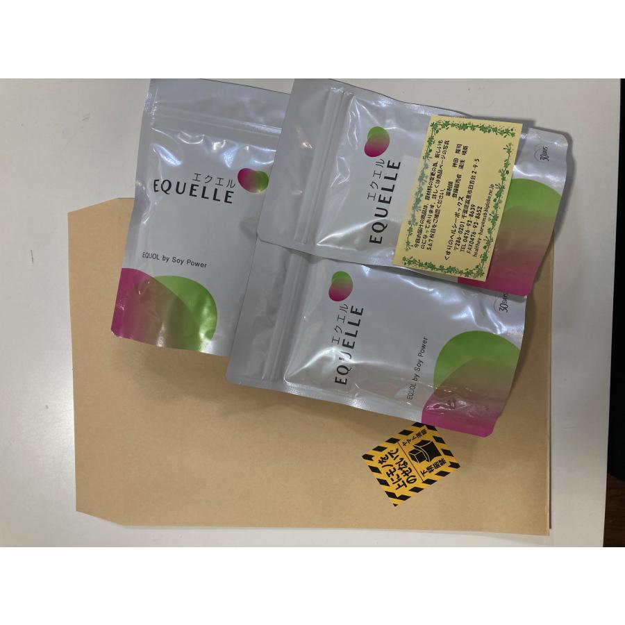 エクエル 120粒入 3個セット パウチ エクオール 大塚製薬 EQUELLE
