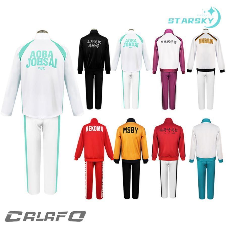 ハイキュー!! 稲荷崎 白鳥沢 音駒 烏野 青葉城西 梟谷学園高校 伊達