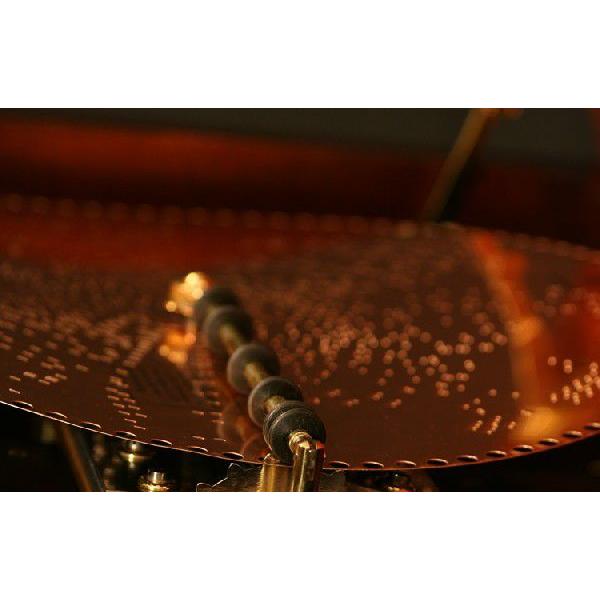 REUGE（リュージュ） PORTER ポーター社製 ディスクオルゴール スワン