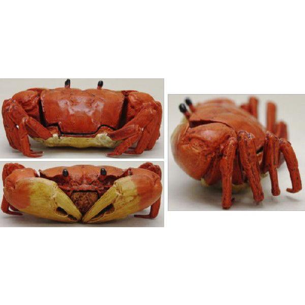 茶道具 香合 蟹 畦地多喜翁作 茶道 : 茶道具いまや静香園 - 通販