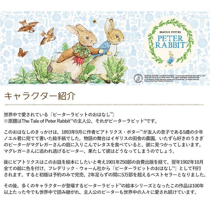 ASAHI（アサヒ） ピーターラビット カトラリーセット 食器 ティー