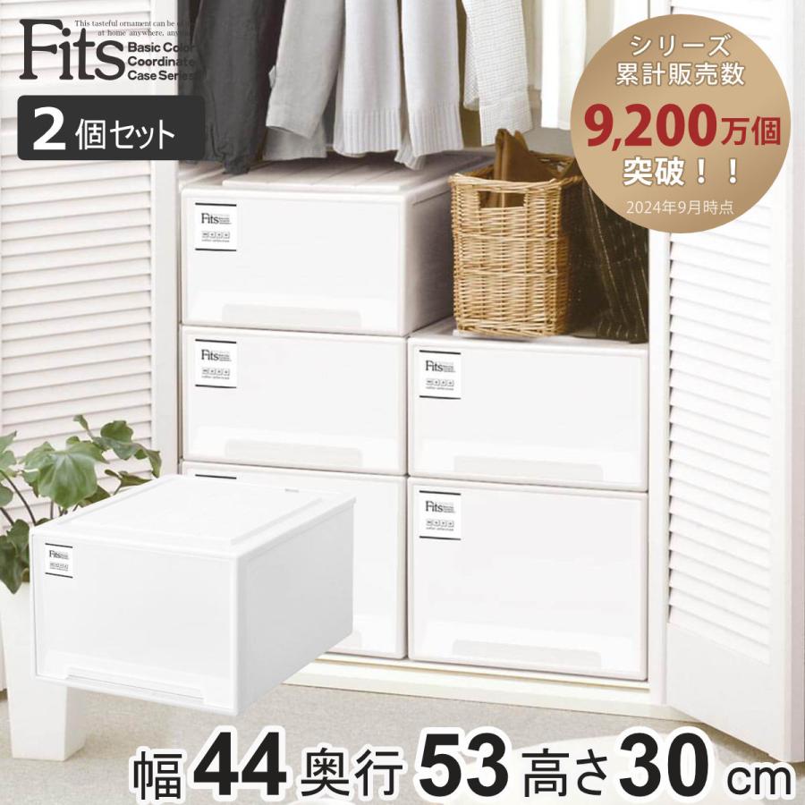 Fits 収納ケース フィッツケース クローゼット ワイドL-53 2個セット
