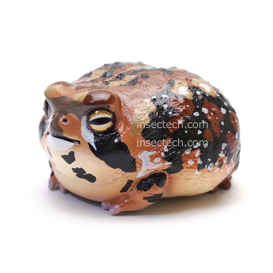 動物の惑星】アメフクラガエル フィギュア : インセクテック動物の惑星