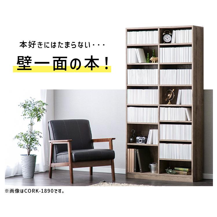 IRIS OHYAMA（アイリスオーヤマ） 本棚 大容量 カラーボックス 8段 幅