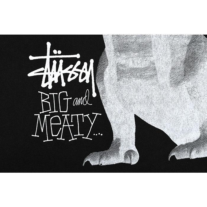 STUSSY（ステューシー） パーカー ジップアップ メンズ Big & Meaty