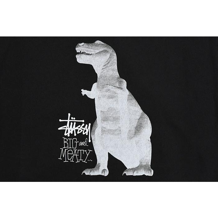 STUSSY（ステューシー） パーカー ジップアップ メンズ Big & Meaty