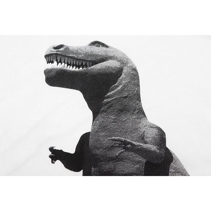 STUSSY（ステューシー） Tシャツ 長袖 メンズ Big & Meaty ( stussy