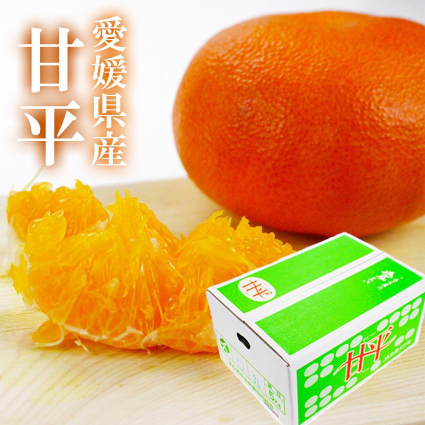 みかん 甘平 （ かんぺい ） 訳あり 〇等級 大きさお任せ 5kg 家庭用