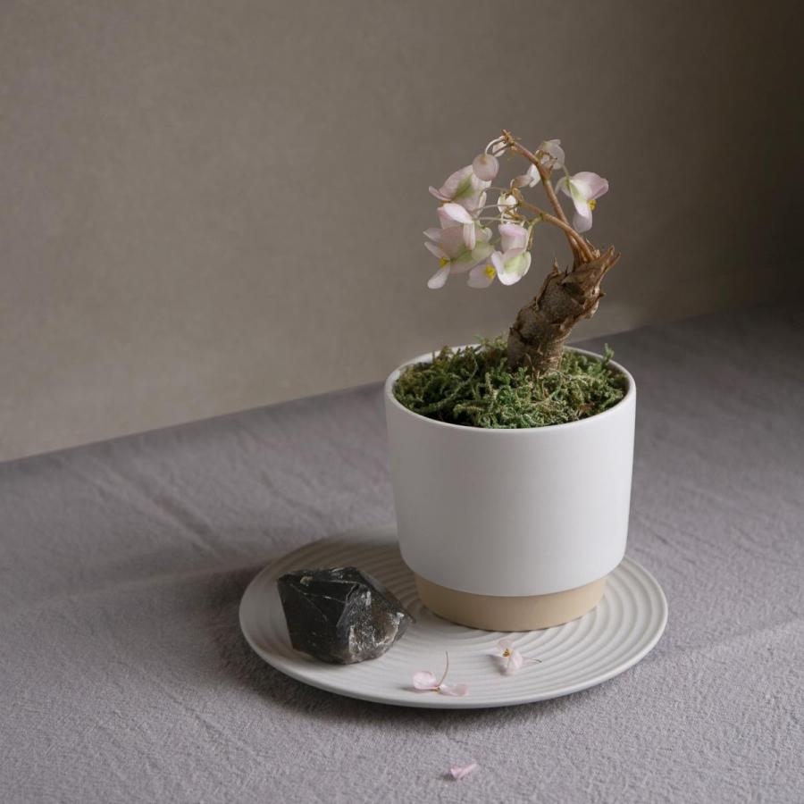 yamatsu 植木鉢 再生土 リサイクル 美濃焼 日本製 サステナブル ground