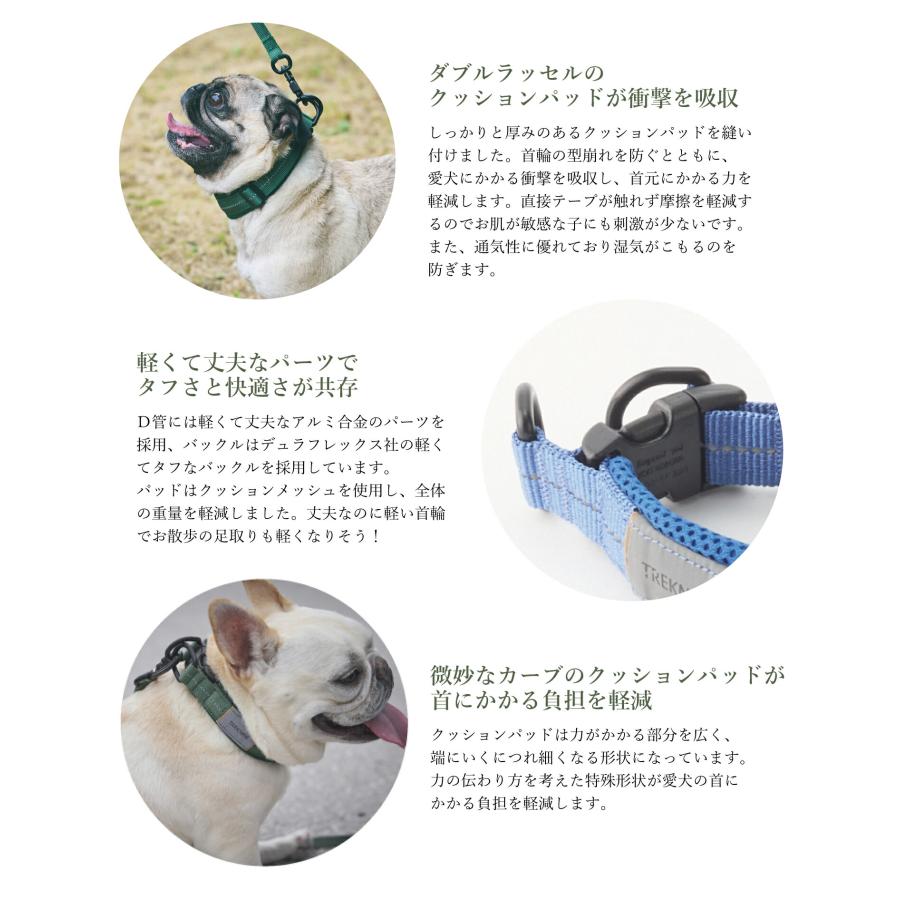 iDog 犬 首輪 TREKNINE|カラー|ダブルリングメッシュパッド XS/Sサイズ