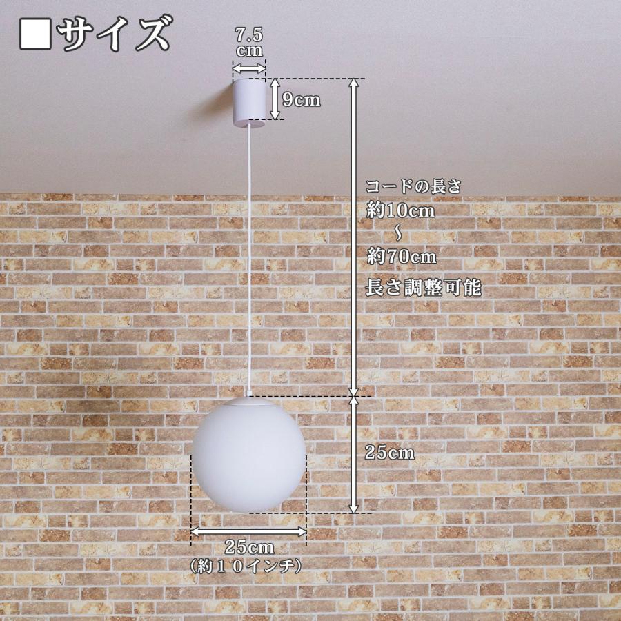 天井照明 1灯 フロスト ガラスペンダントライト 10インチ 直径25cm