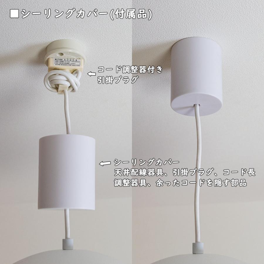 天井照明 1灯 フロスト ガラスペンダントライト 10インチ 直径25cm