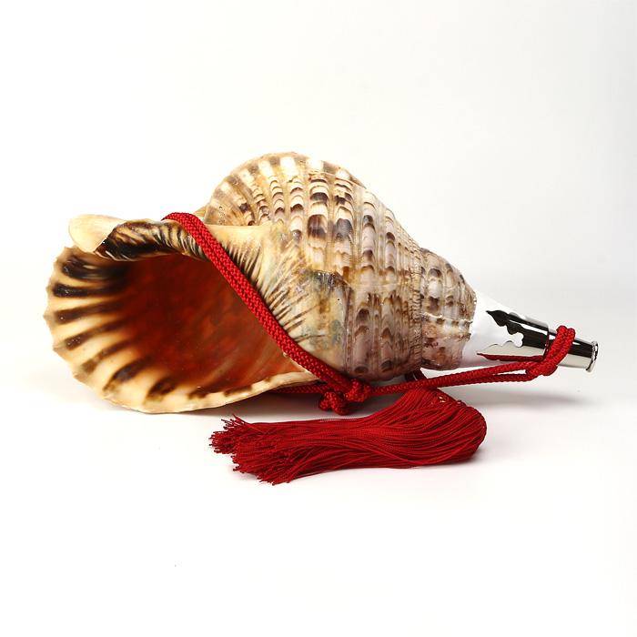 法螺貝 ほら貝 大型 No.9 : 宮忠 - 通販 - Yahoo!ショッピング