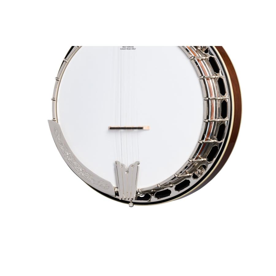 Epiphone（エピフォン） Epiphone / Inspired by Gibson Mastertone