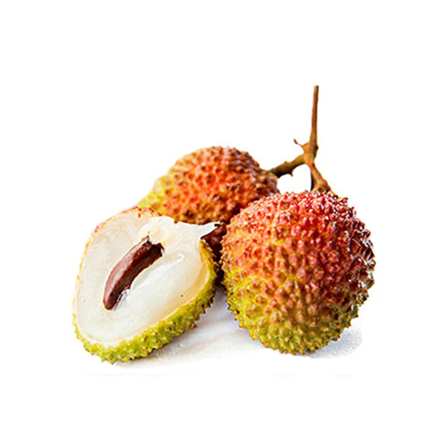 ITANSE ライチの苗木 玉荷包(ぎょくかほう) 果樹の苗木 取り木苗 13.5