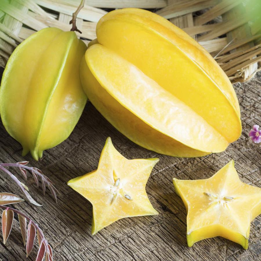 ITANSE スターフルーツの苗 果樹の苗木 13.5cmポット 1個売り 果樹