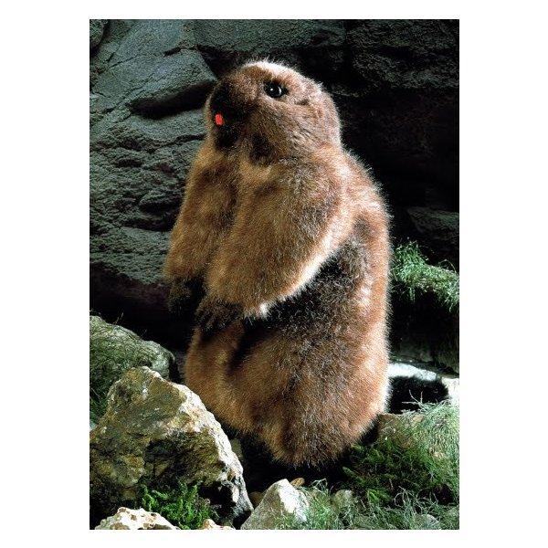 ケーセン ぬいぐるみ Kosen マーモット 34cm Murmeltier 