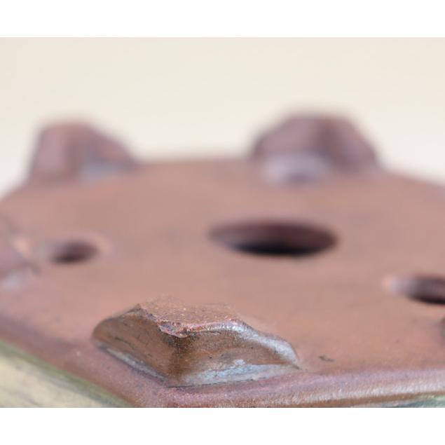 盆栽鉢】 時代鉢 白泥 釘彫六角鉢（径23cm ホツ微）いよじ園 : 盆栽