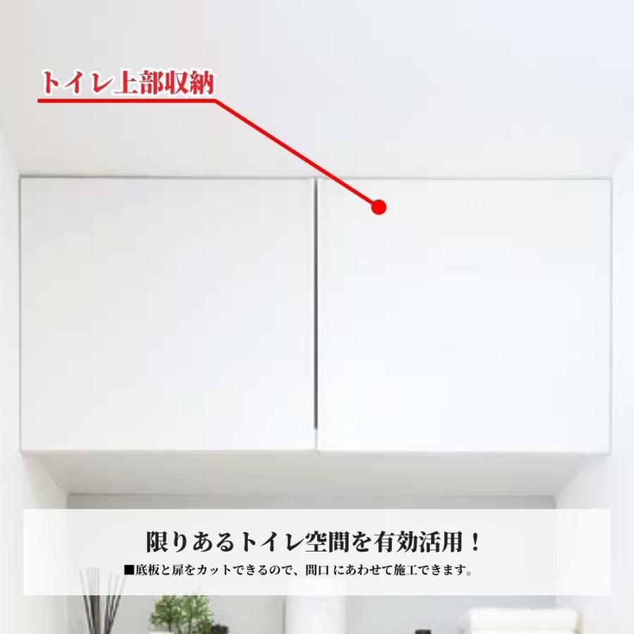 南海プライウッド トイレ上部収納 TJHD-CW-A 扉付き 壁面収納 クリア